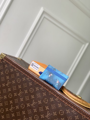 Louis Vuitton card holder