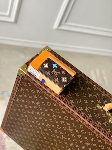 Louis Vuitton wallet