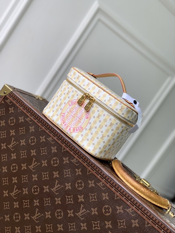 Louis Vuitton bag