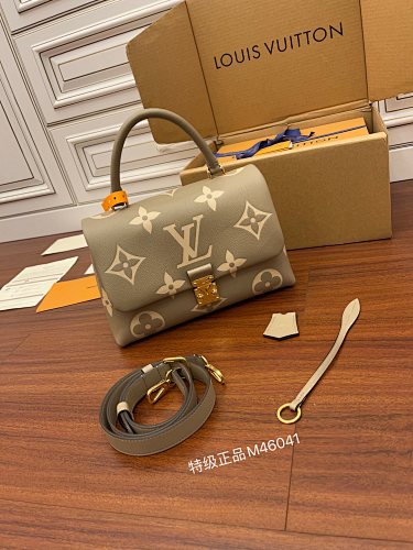 Louis Vuitton bag