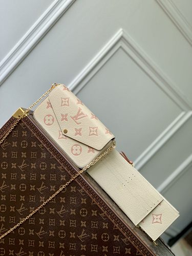 Louis Vuitton backpack