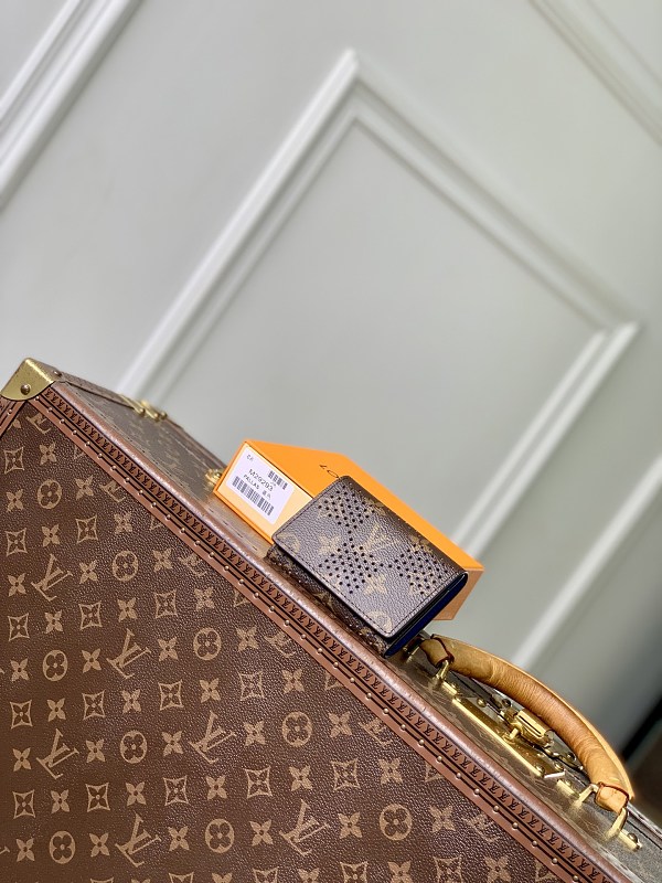 Louis Vuitton card holder