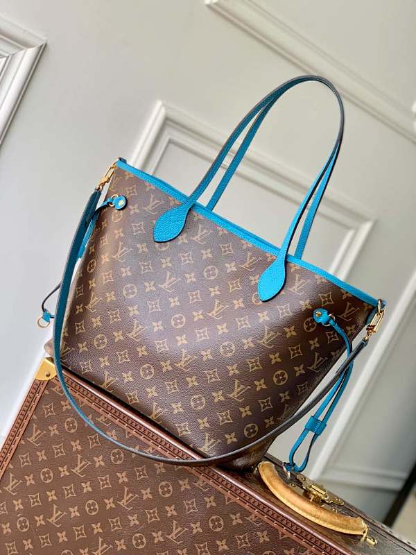 Louis Vuitton shoulder bag