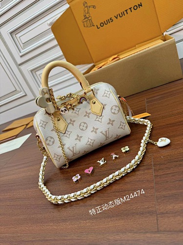 Louis Vuitton bag