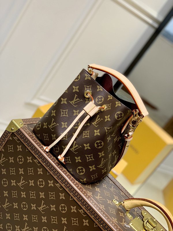 Louis Vuitton bag