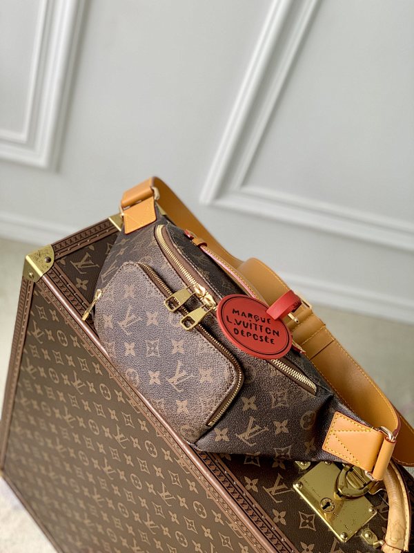 Louis Vuitton belt bag