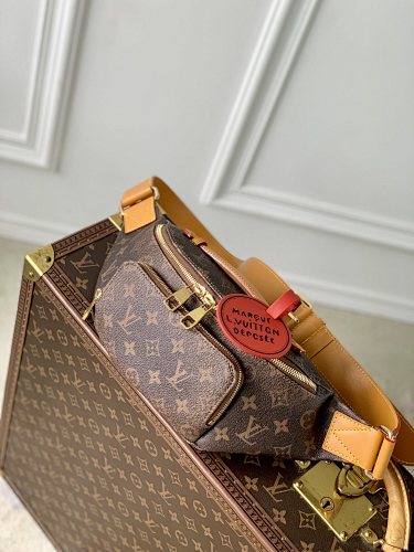 Louis Vuitton belt bag