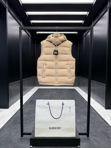 Burberry shopping bag