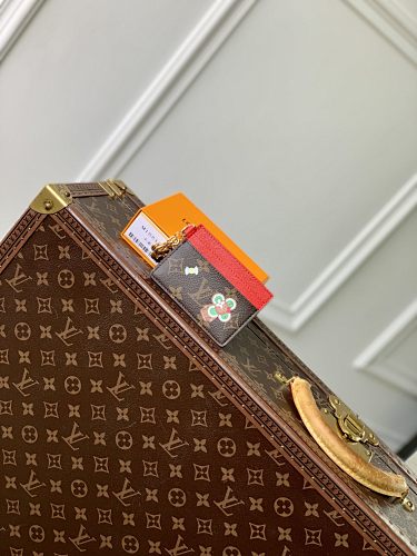 Louis Vuitton card holder