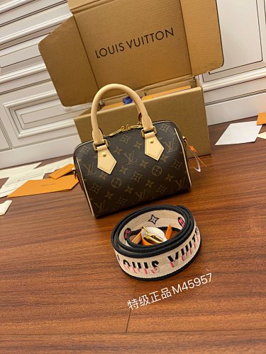 Louis Vuitton bag