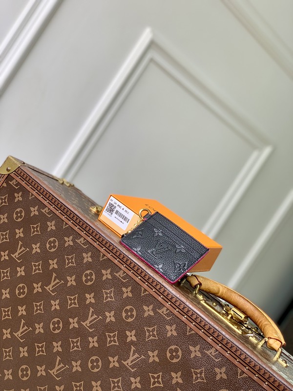 Louis Vuitton card holder