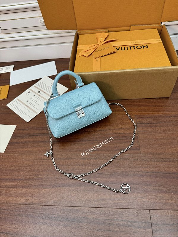 Louis Vuitton bag