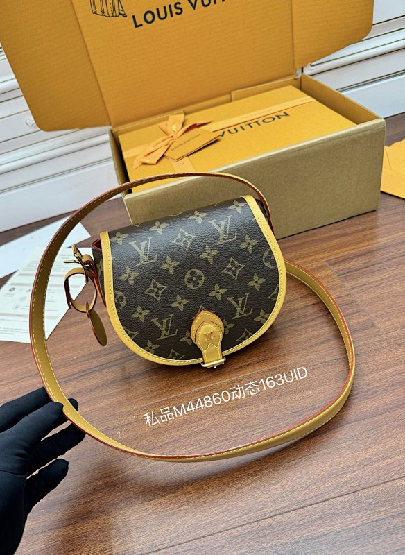 Louis Vuitton bag