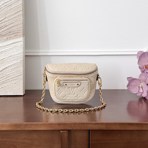 Louis Vuitton belt bag