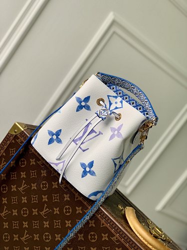 Louis Vuitton bag