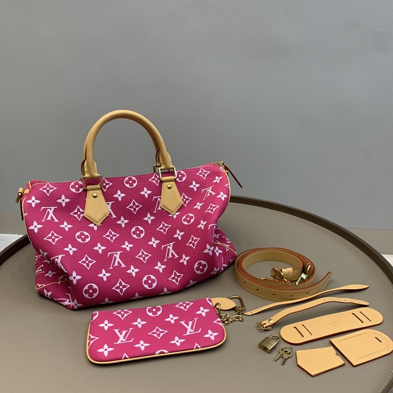 Louis Vuitton bag