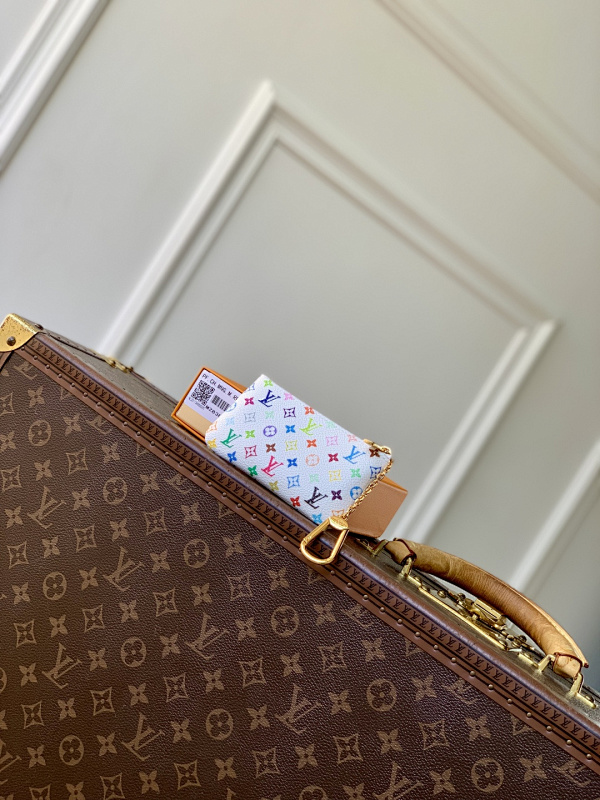 Louis Vuitton bag
