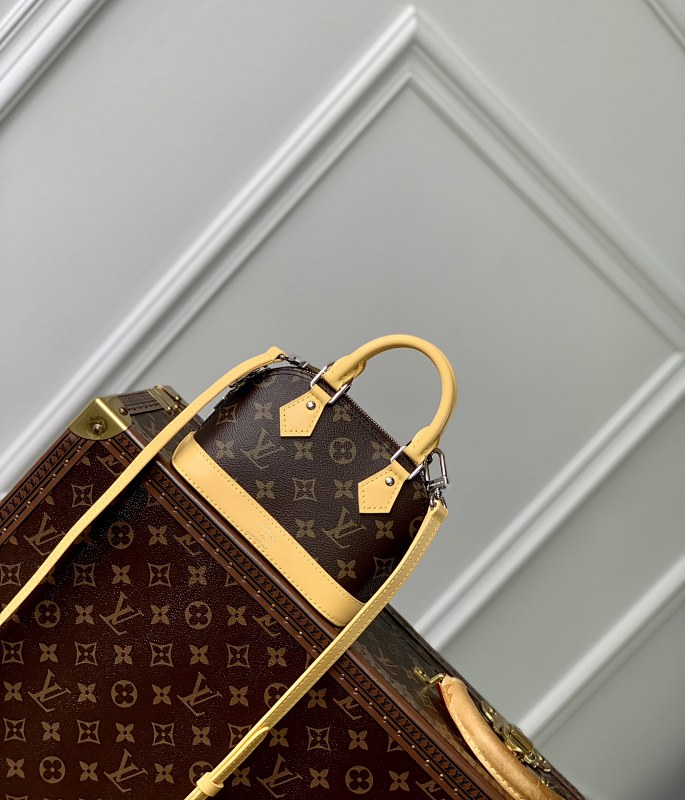 Louis Vuitton bag