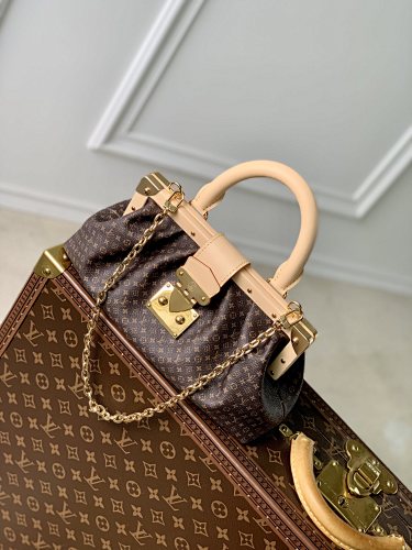 Louis Vuitton clutch