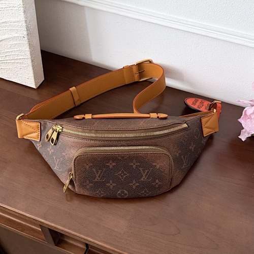 Louis Vuitton belt bag