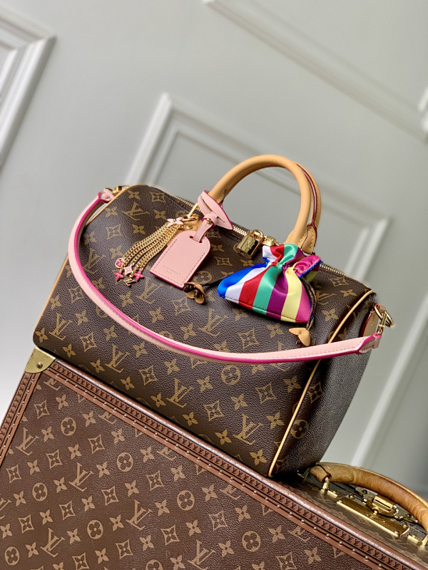 Louis Vuitton bag
