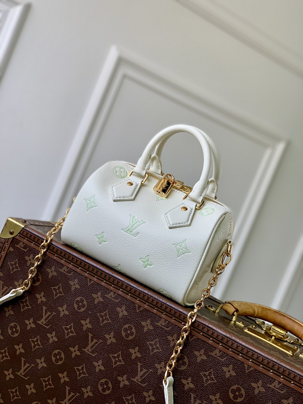 Louis Vuitton travel bag