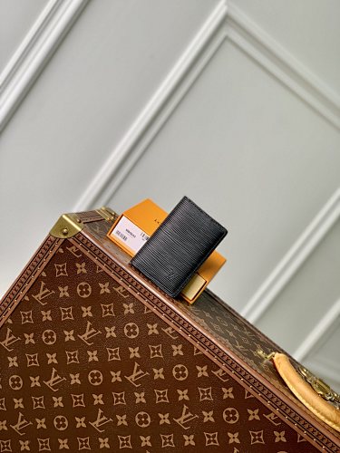 Louis Vuitton card holder