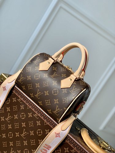 Louis Vuitton backpack