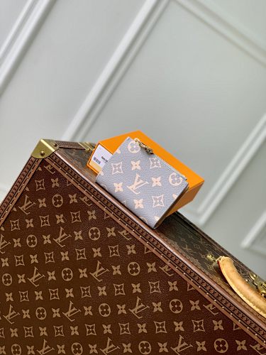 Louis Vuitton clutch