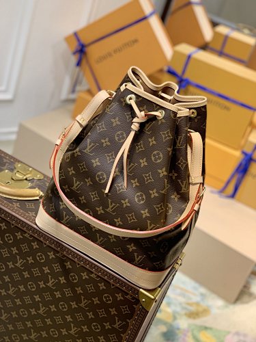 Louis Vuitton bag