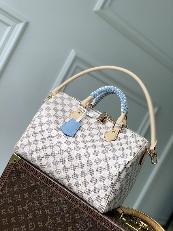 Louis Vuitton bag