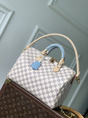 Louis Vuitton bag