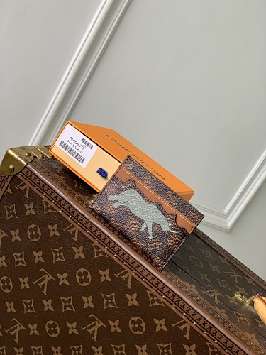 Louis Vuitton card holder