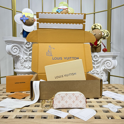 Louis Vuitton bag