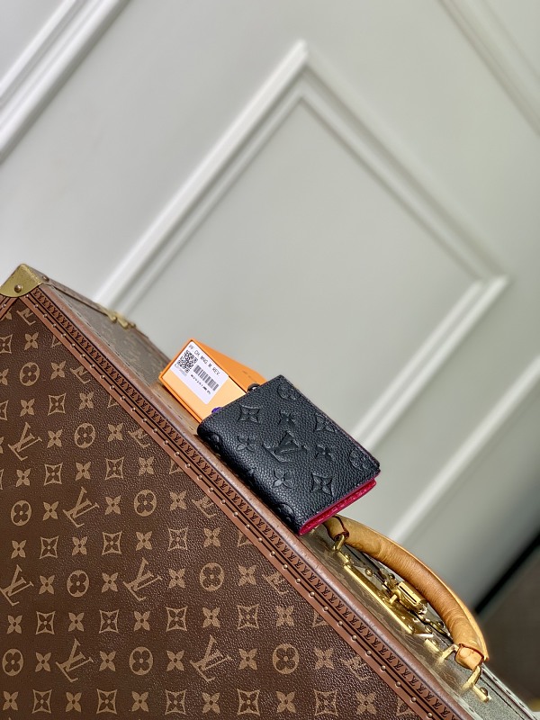Louis Vuitton clutch