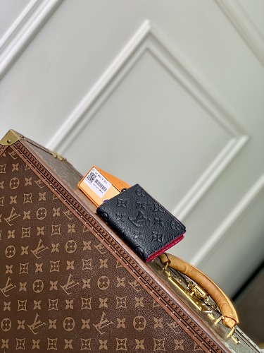 Louis Vuitton clutch