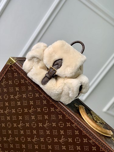 Louis Vuitton backpack