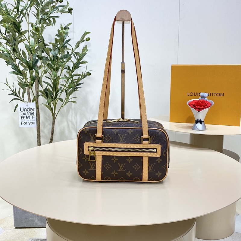 Louis Vuitton camera bag