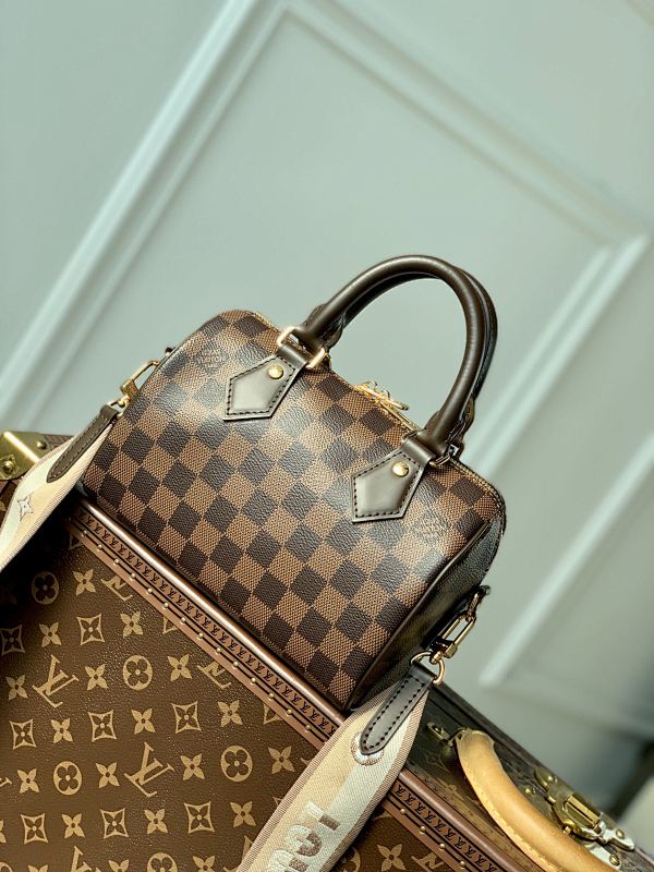 Louis Vuitton backpack