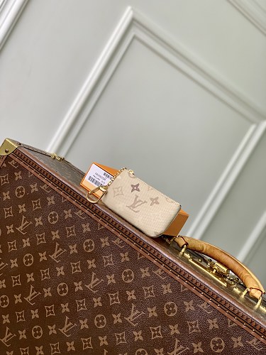 Louis Vuitton bag