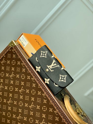 Louis Vuitton clutch