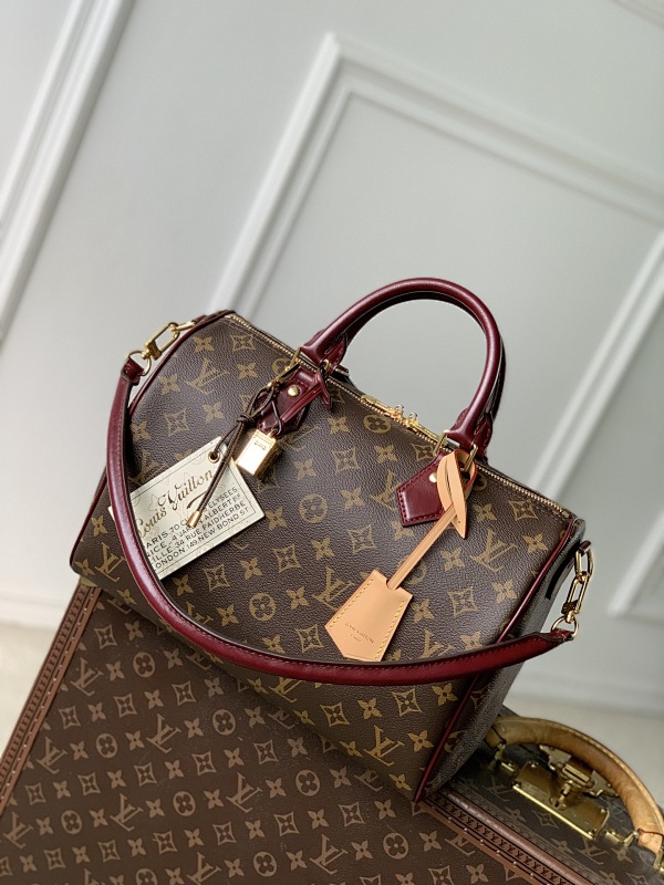 Louis Vuitton bag
