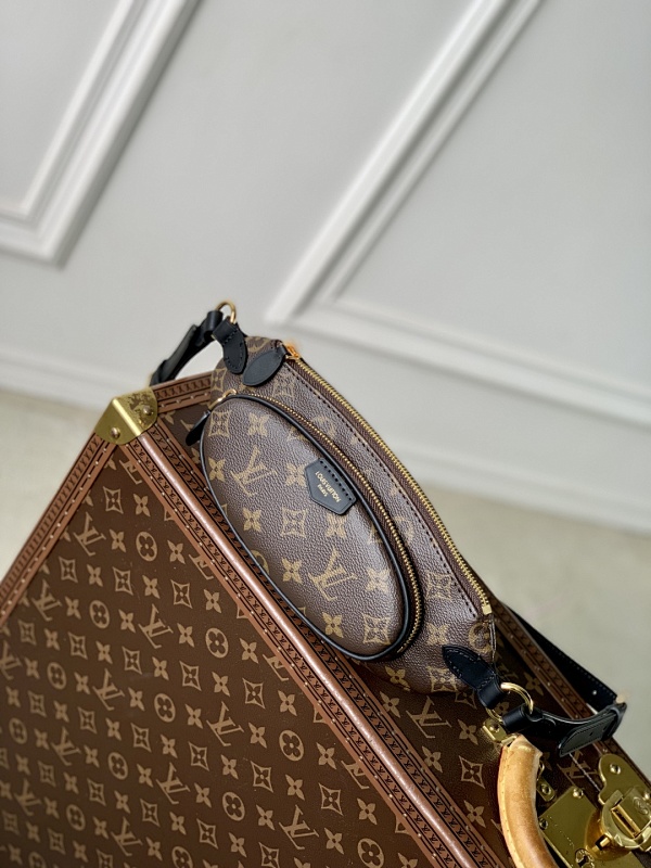 Louis Vuitton belt bag