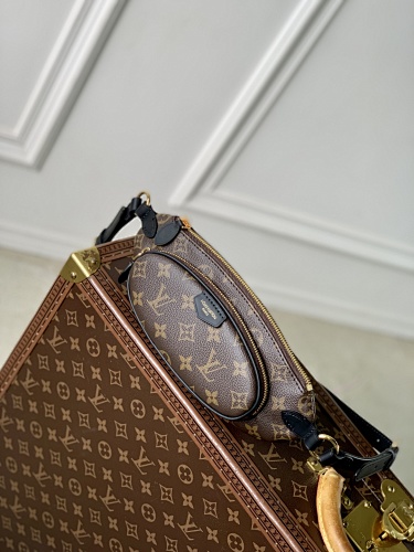 Louis Vuitton belt bag