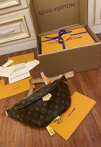 Louis Vuitton bag