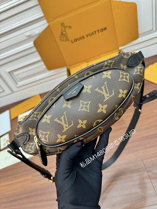 Louis Vuitton bag