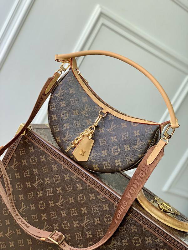 Louis Vuitton shoulder bag