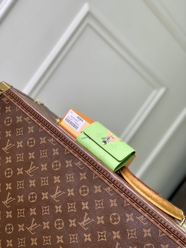 Louis Vuitton bag