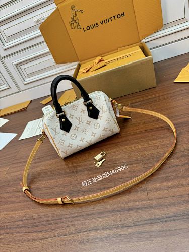 Louis Vuitton bag