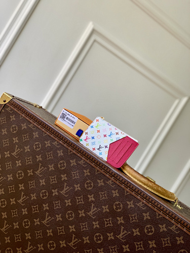 Louis Vuitton card holder